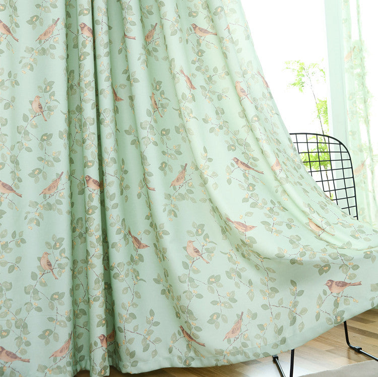 Shop Curtains