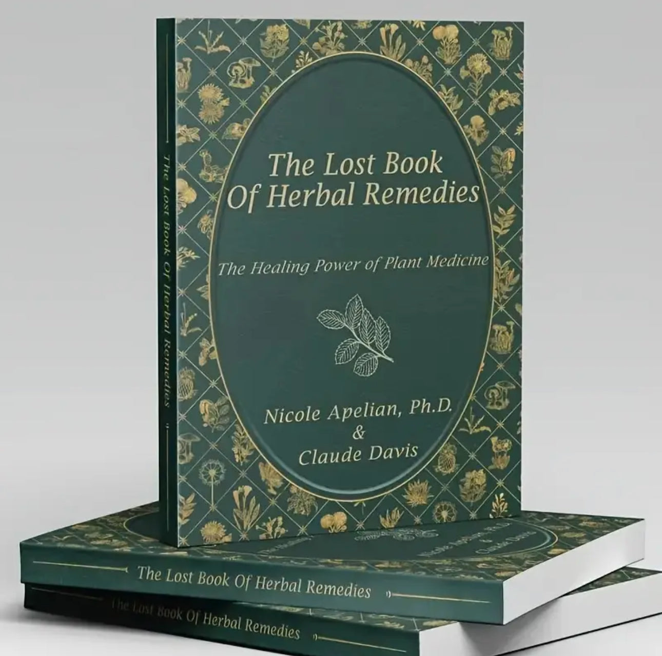 The Lost Book Of Herbal Remedies 800 Herbs And Remedies You Need For Each Part Of Your Body Soft Cover Make Tinctures, Infusions, Decoctions, Salves, Teas & Poultices